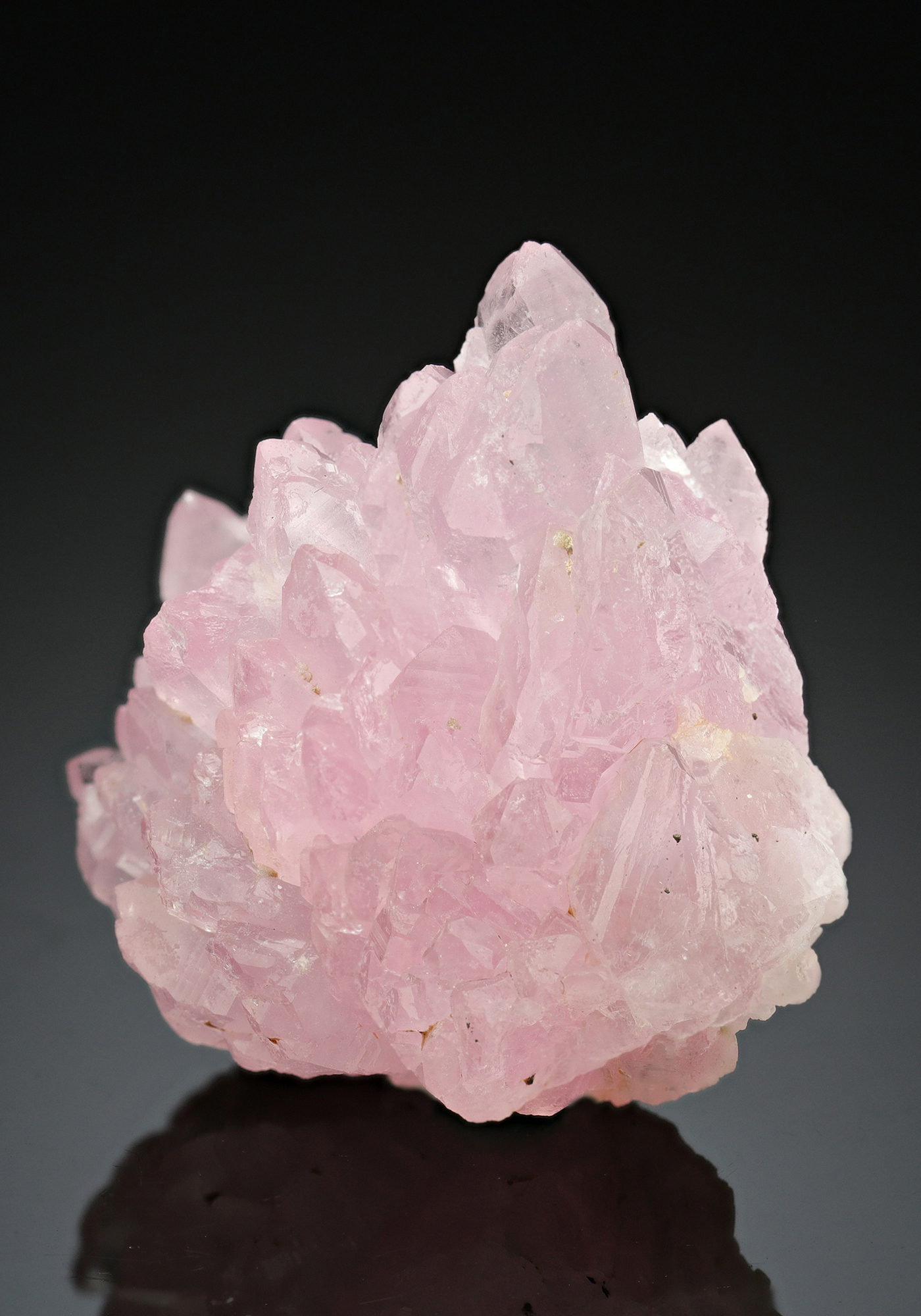 Top 10 Rose Quartz Crystal Bracelets You Can Buy Online Learn From 