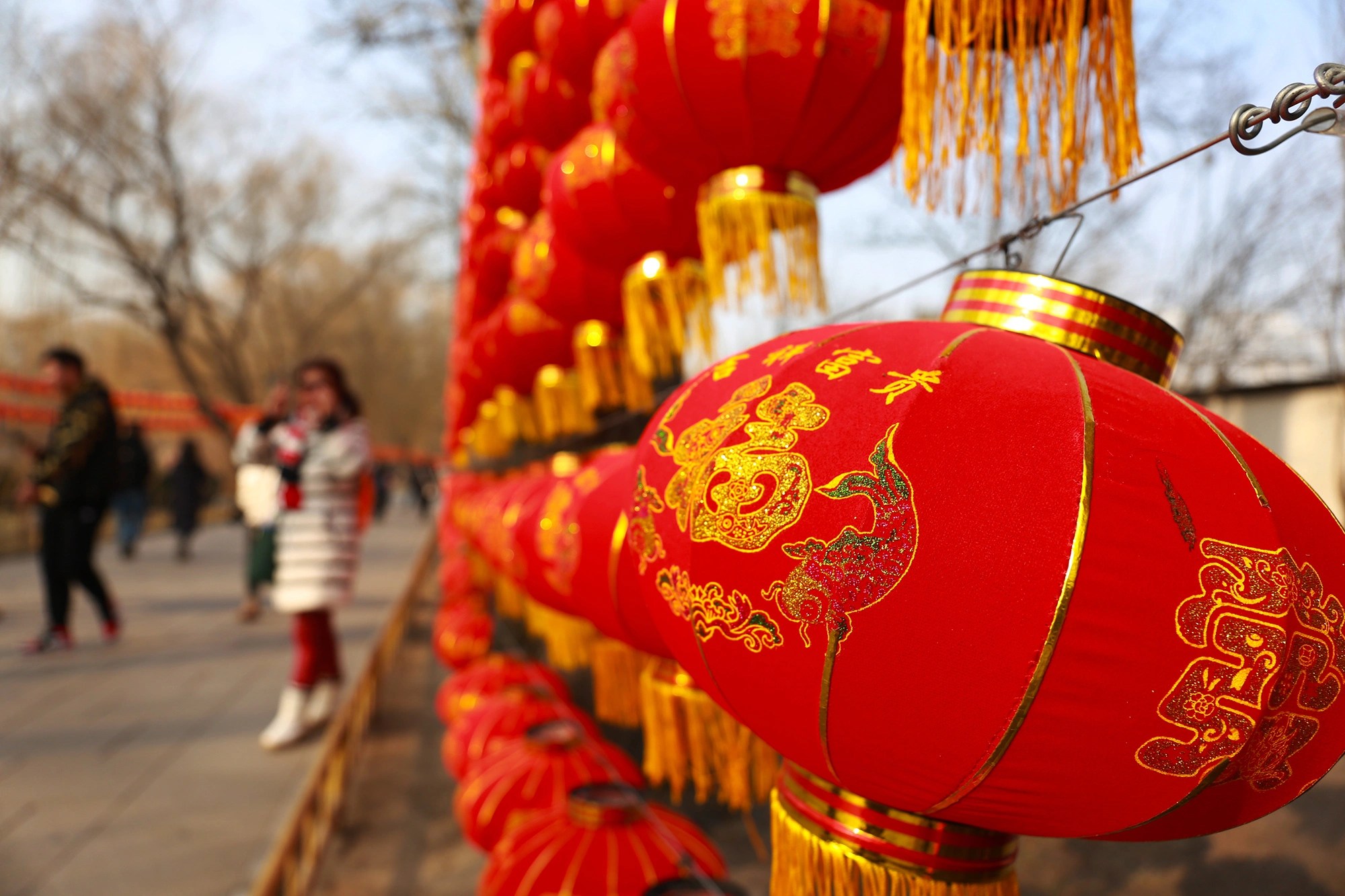 Chinese New Year Date for 2022, 2023, 2024, 2025, 2026, 2027, 2028 Qi
