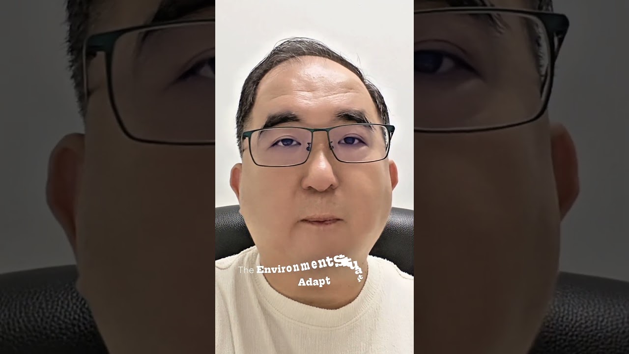 Black Tortoise: Power of Words #qimendunjia #qmdj #qimen